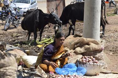 Farmer Market, Bauernmarkt, Mysore_DSC4699_H600